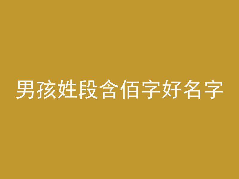 男孩姓段含佰字好名字