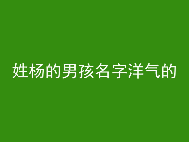 姓杨的男孩名字洋气的