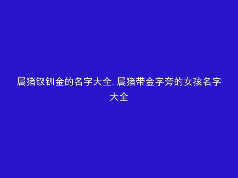 属猪钗钏金的名字大全,属猪带金字旁的女孩名字大全