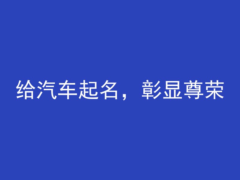 给汽车起名，彰显尊荣