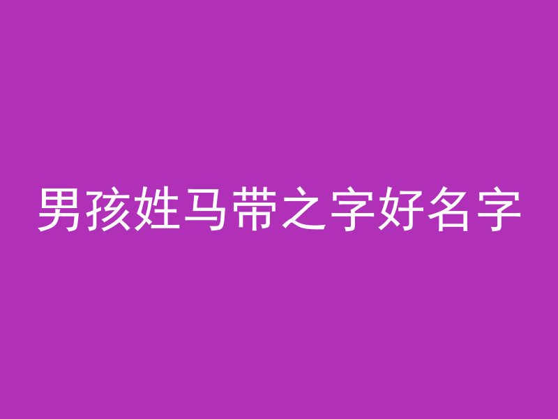 男孩姓马带之字好名字