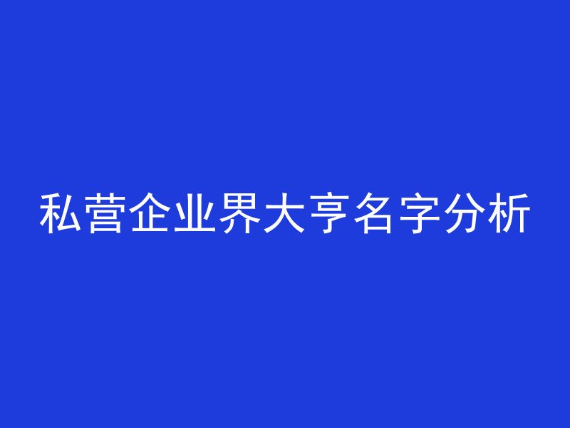 私营企业界大亨名字分析