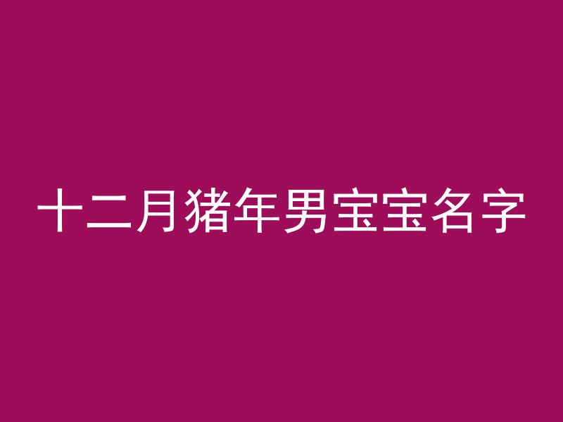 十二月猪年男宝宝名字