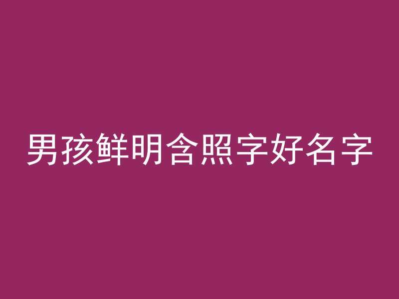 男孩鲜明含照字好名字