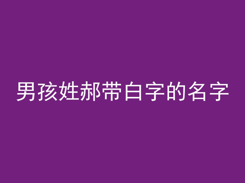 男孩姓郝带白字的名字