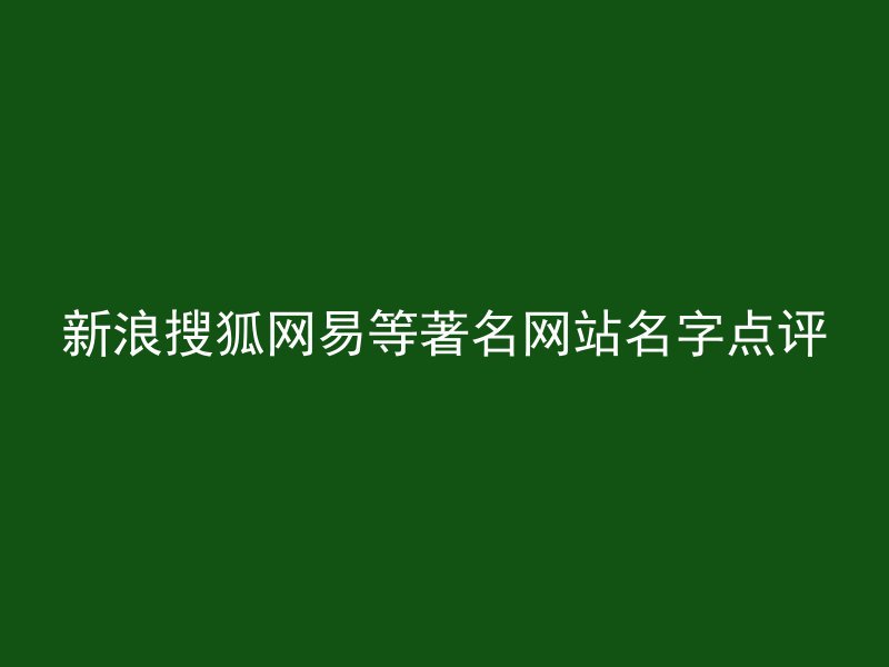 新浪搜狐网易等著名网站名字点评