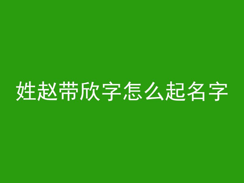 姓赵带欣字怎么起名字