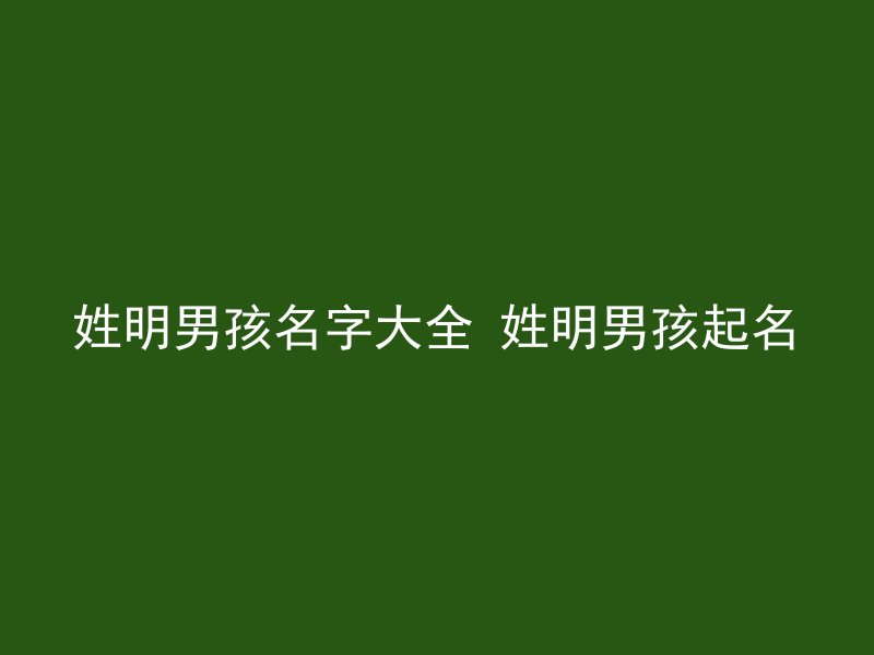 姓明男孩名字大全 姓明男孩起名