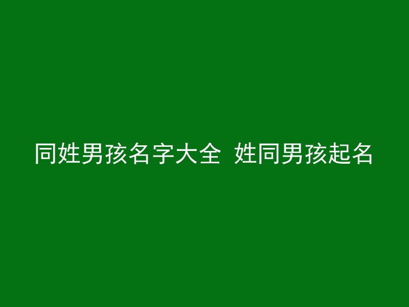 同姓男孩名字大全 姓同男孩起名