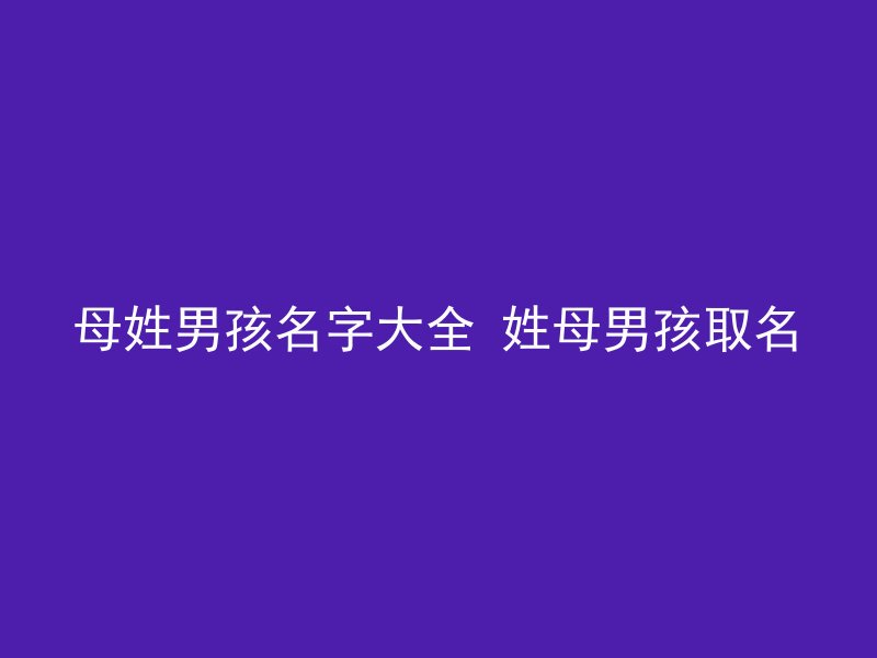 母姓男孩名字大全 姓母男孩取名