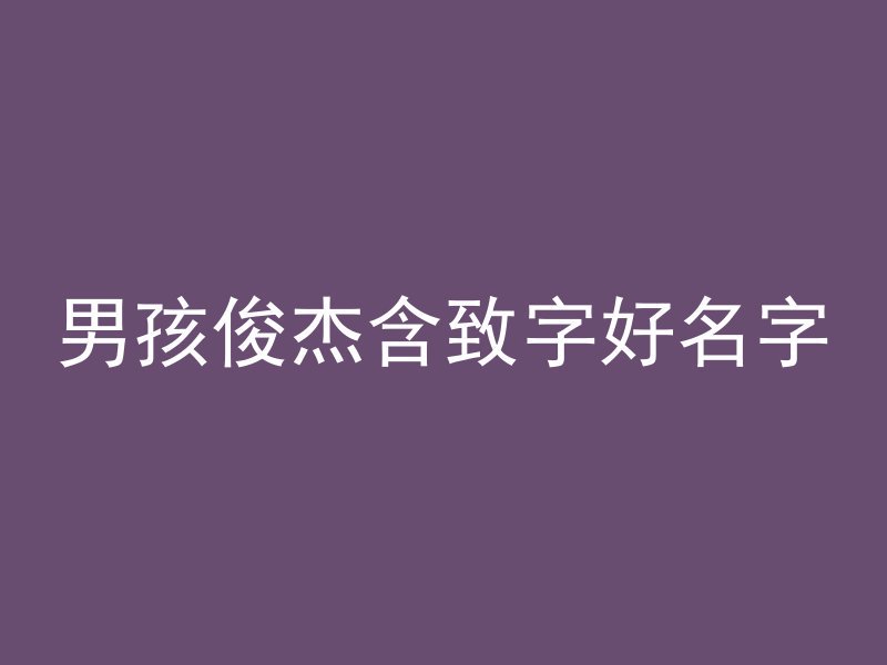 男孩俊杰含致字好名字