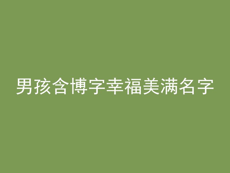 男孩含博字幸福美满名字