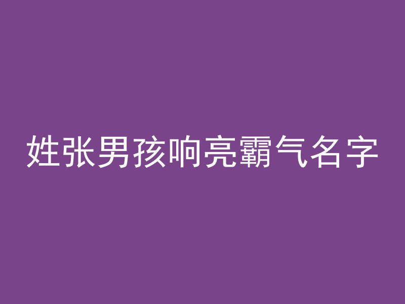 姓张男孩响亮霸气名字