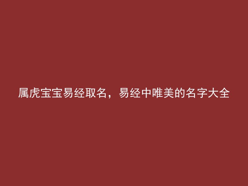 属虎宝宝易经取名，易经中唯美的名字大全