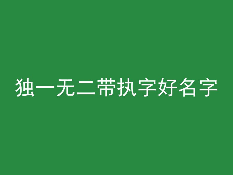 独一无二带执字好名字