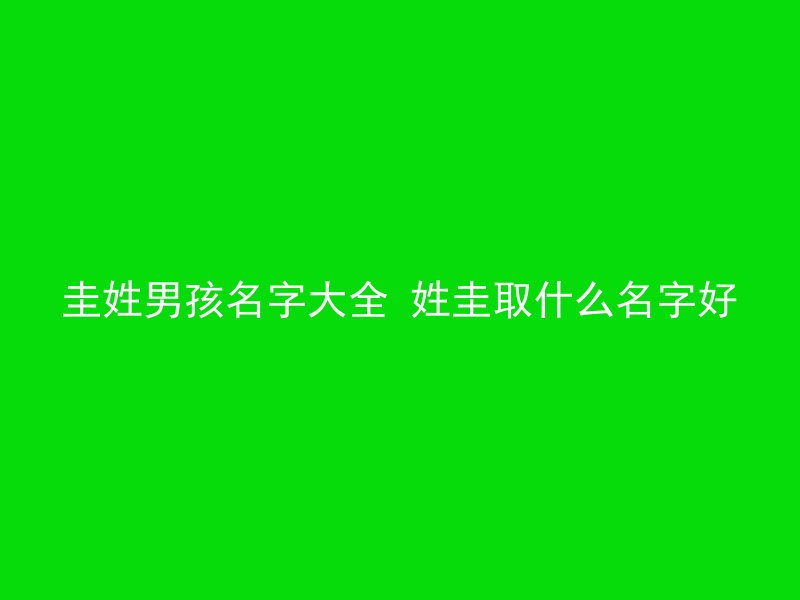 圭姓男孩名字大全 姓圭取什么名字好