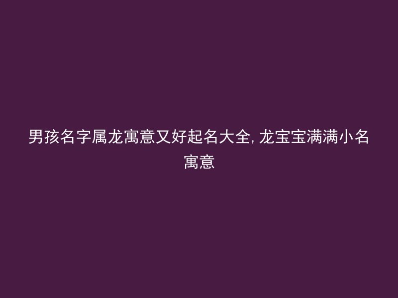 男孩名字属龙寓意又好起名大全,龙宝宝满满小名寓意