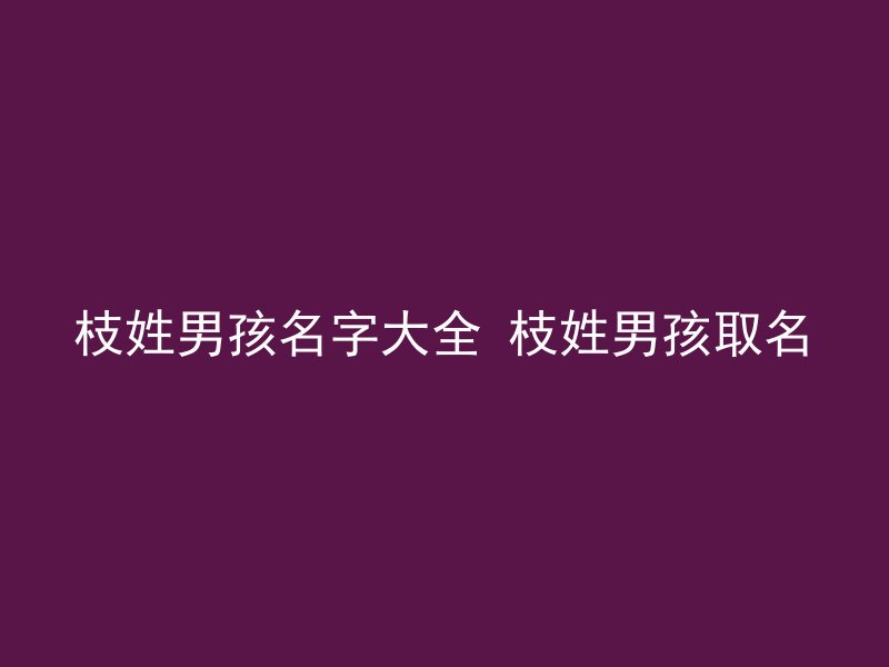 枝姓男孩名字大全 枝姓男孩取名