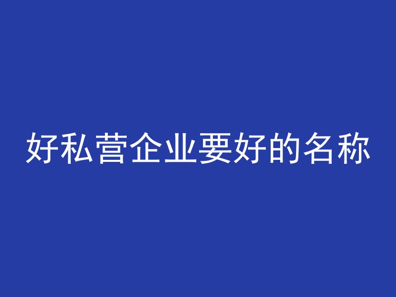 好私营企业要好的名称