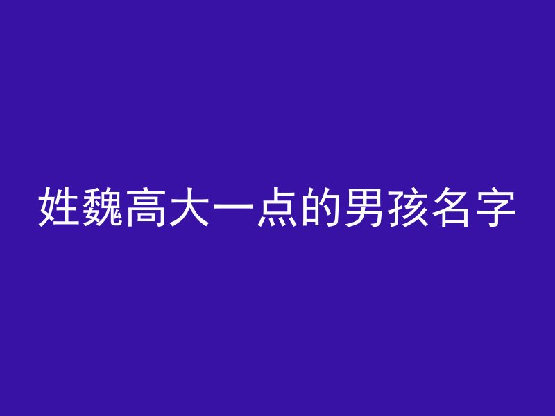 姓魏高大一点的男孩名字