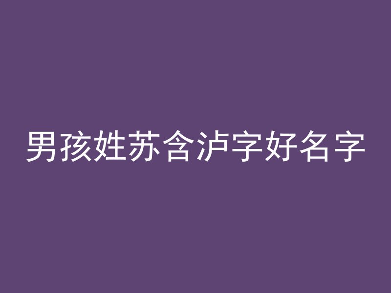 男孩姓苏含泸字好名字