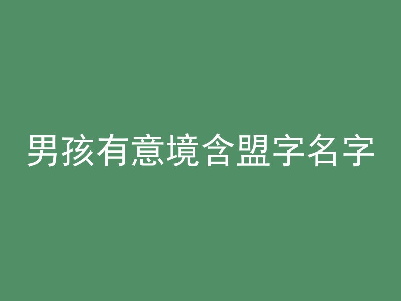 男孩有意境含盟字名字