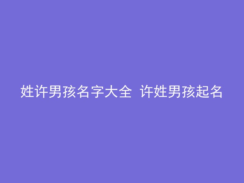 姓许男孩名字大全 许姓男孩起名