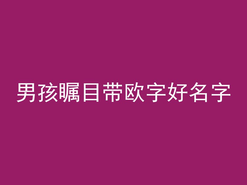 男孩瞩目带欧字好名字