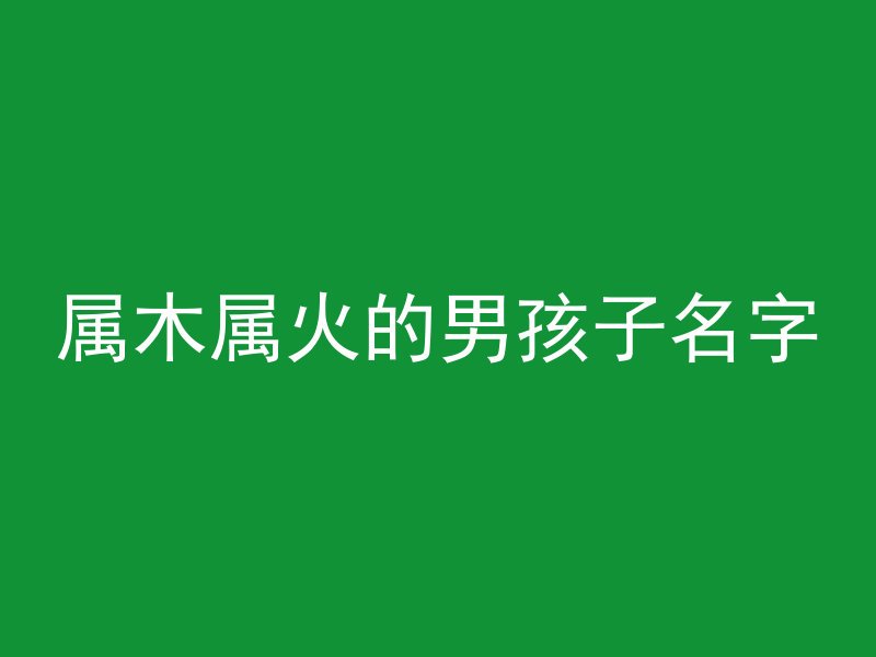 属木属火的男孩子名字