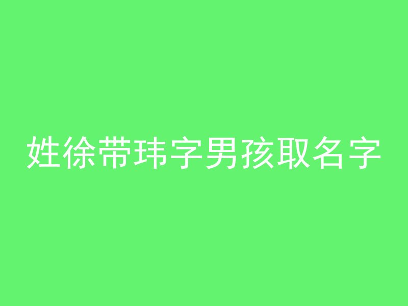 姓徐带玮字男孩取名字