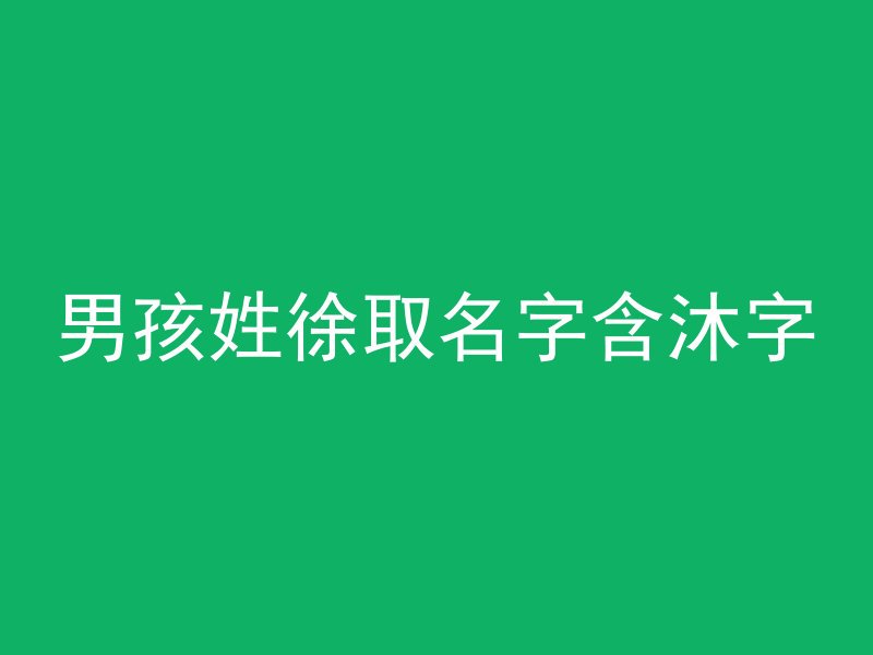 男孩姓徐取名字含沐字