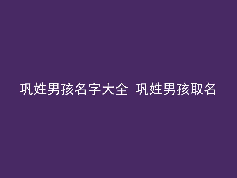 巩姓男孩名字大全 巩姓男孩取名