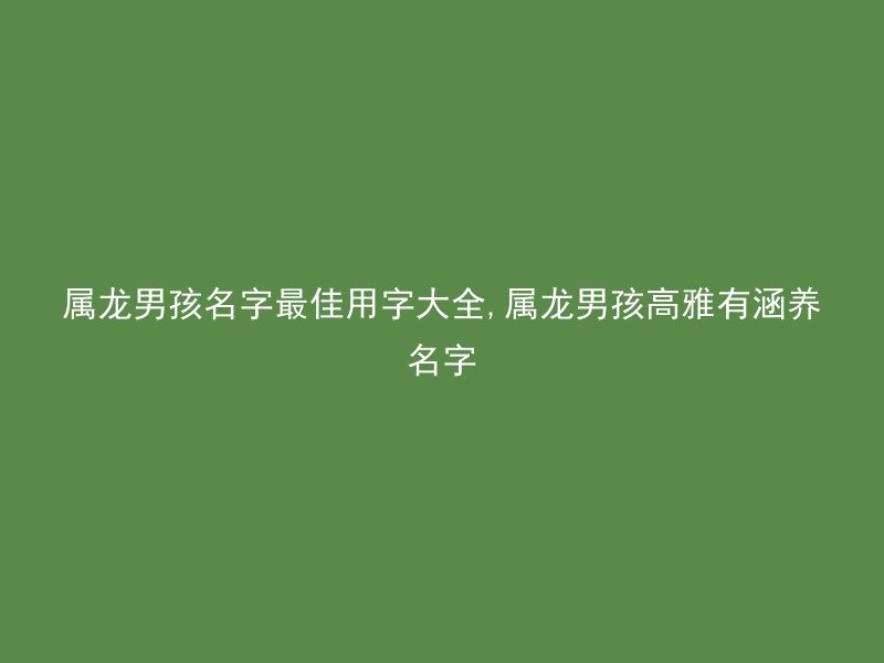 属龙男孩名字最佳用字大全,属龙男孩高雅有涵养名字