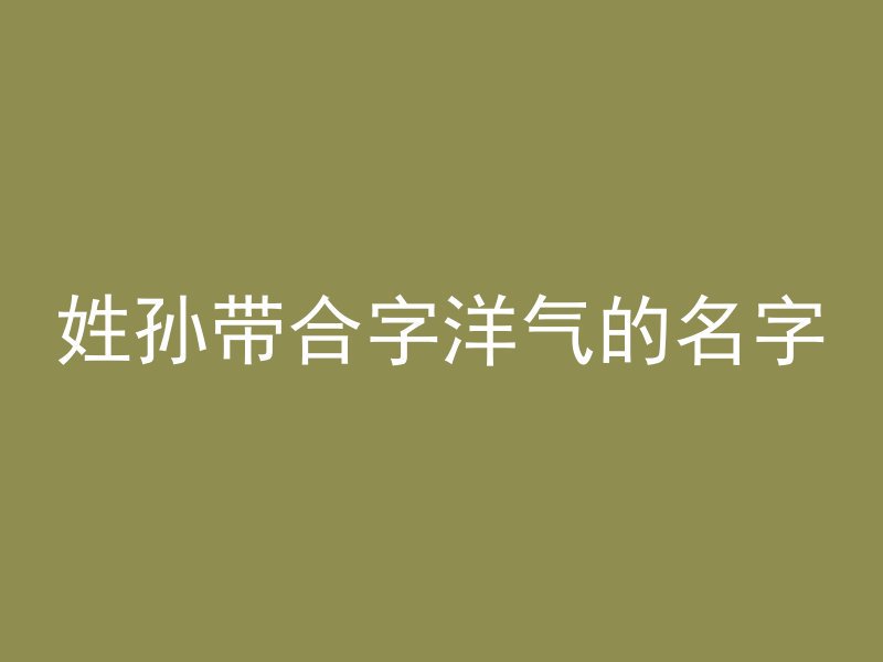 姓孙带合字洋气的名字