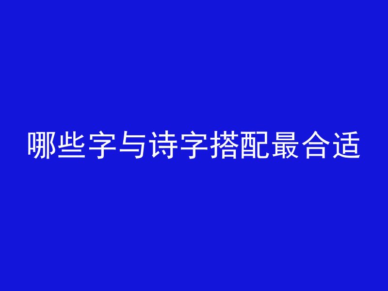 哪些字与诗字搭配最合适