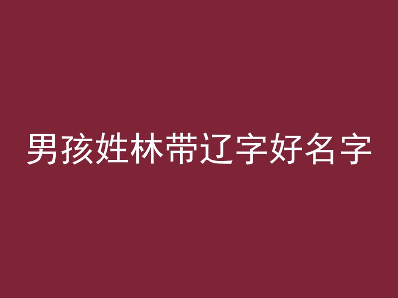 男孩姓林带辽字好名字