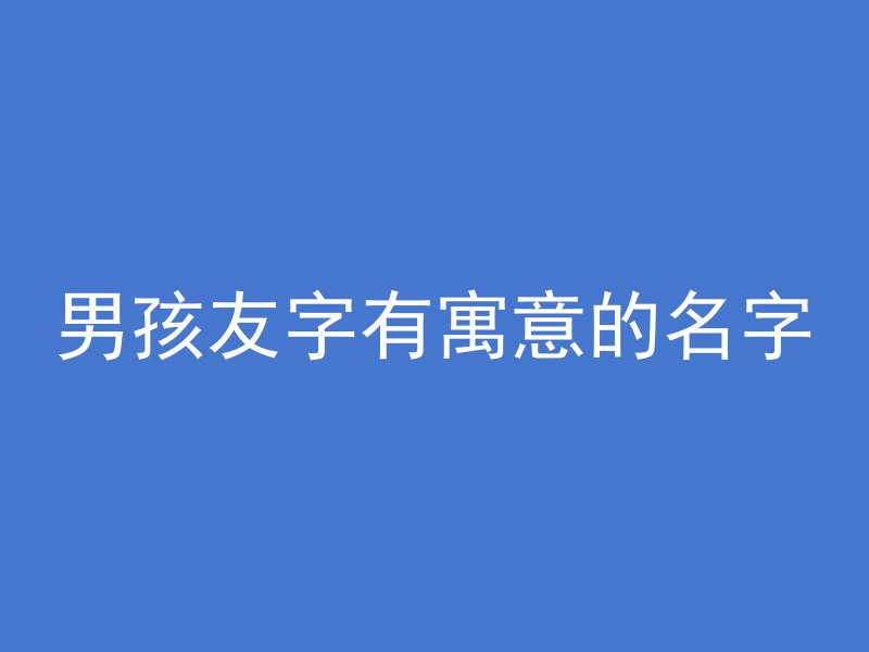 男孩友字有寓意的名字