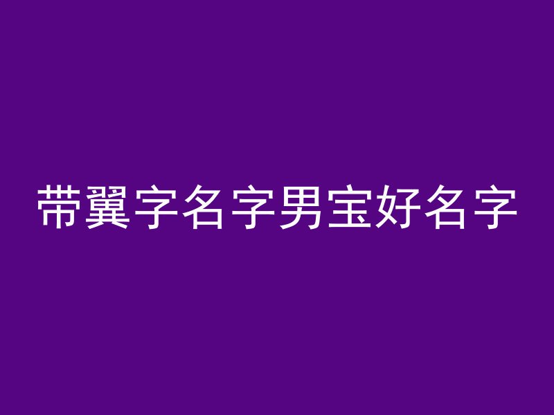 带翼字名字男宝好名字