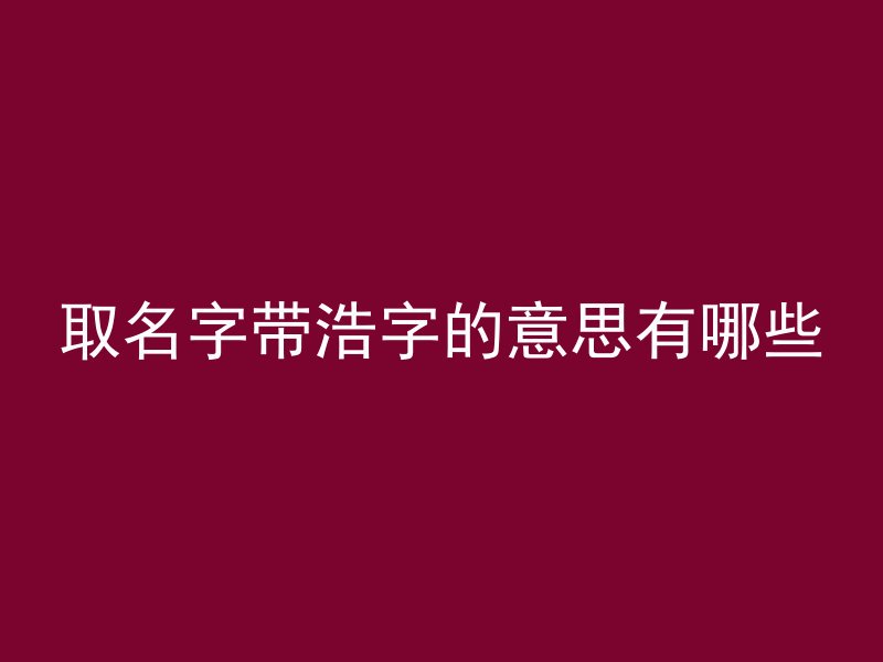 取名字带浩字的意思有哪些