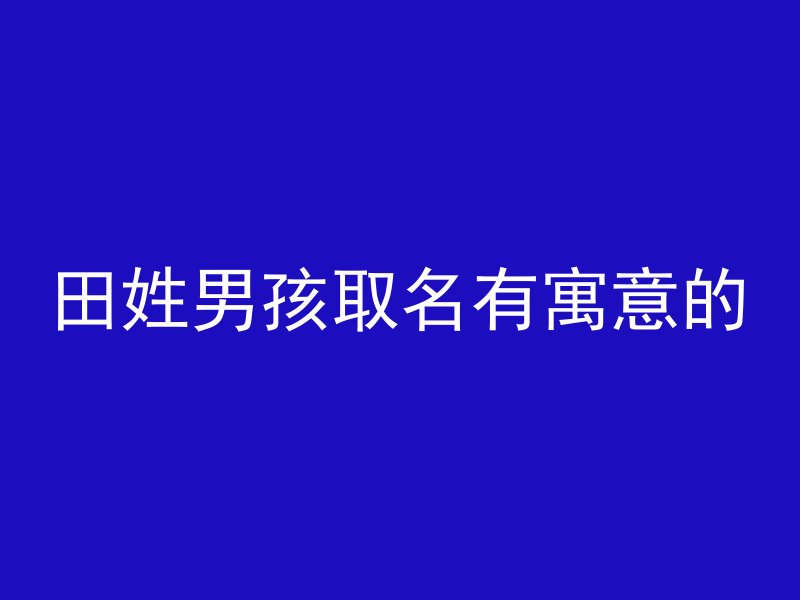 田姓男孩取名有寓意的