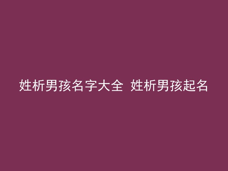 姓析男孩名字大全 姓析男孩起名