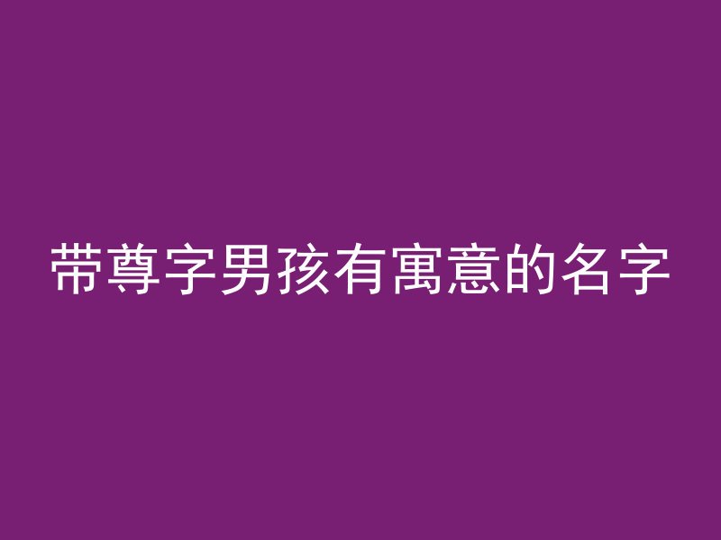 带尊字男孩有寓意的名字