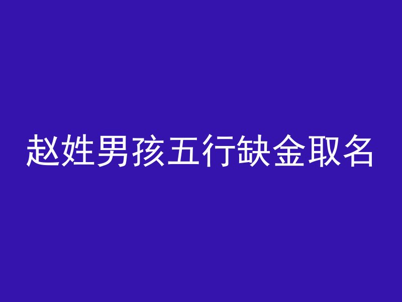 赵姓男孩五行缺金取名