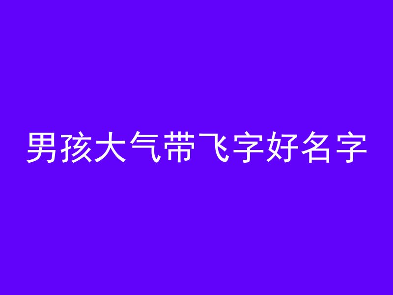 男孩大气带飞字好名字