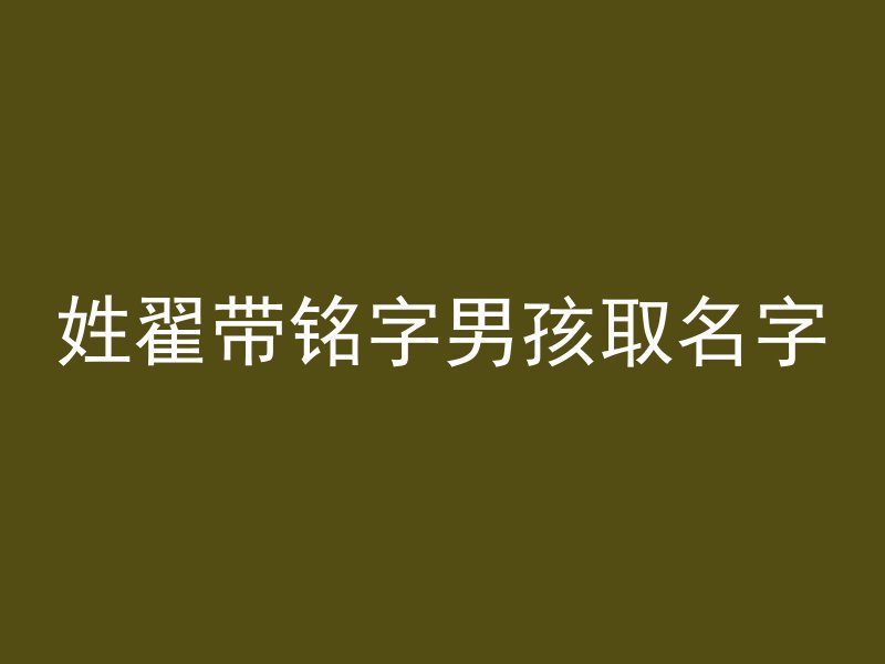 姓翟带铭字男孩取名字