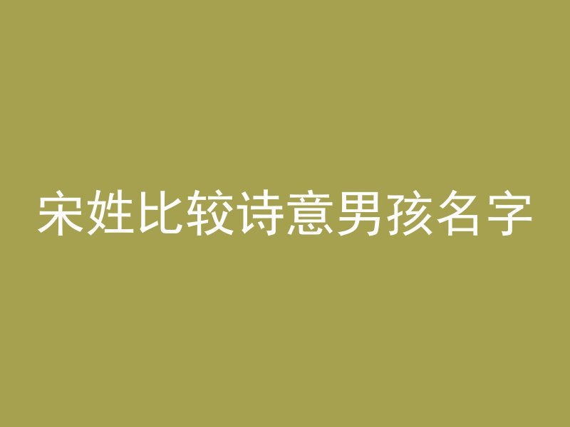 宋姓比较诗意男孩名字