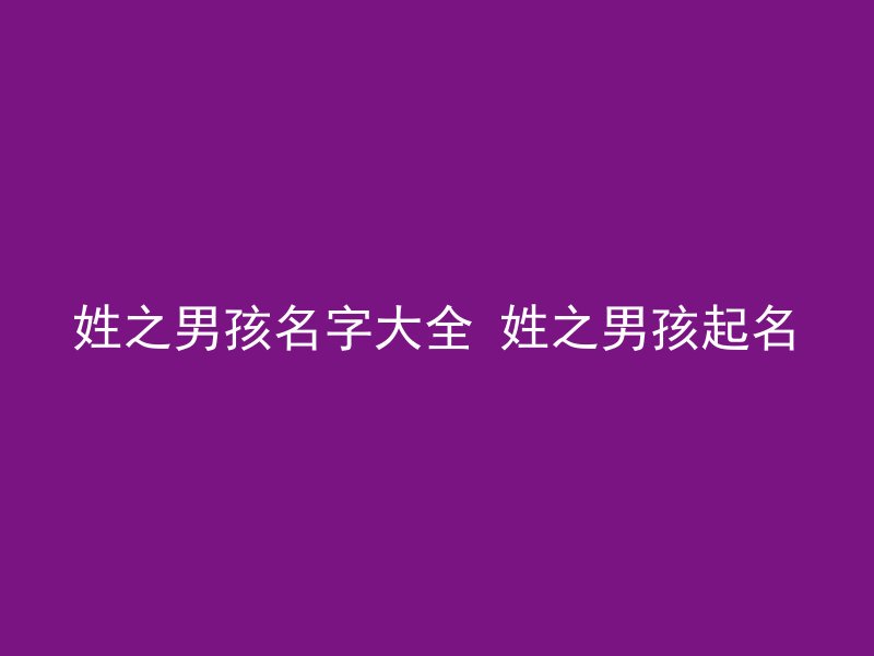 姓之男孩名字大全 姓之男孩起名