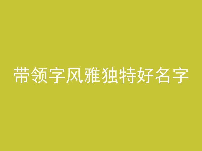 带领字风雅独特好名字