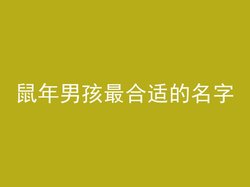 鼠年男孩最合适的名字