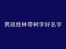 男孩姓林带树字好名字